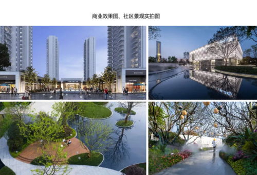 2020年產(chǎn)品力 入圍品質(zhì)項(xiàng)目路演報(bào)告合集——聚焦房產(chǎn)長沙站與四川房地產(chǎn)